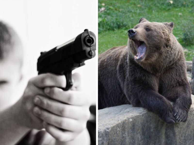 Hombre se suicida tras matar a su hermano por error; quería dispararle a oso