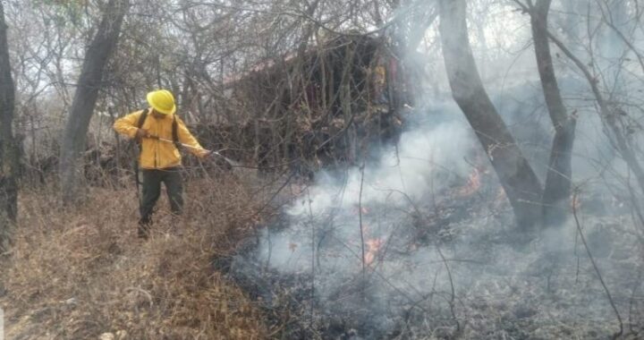 Dos incendios forestales se registraron en Yautepec